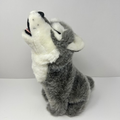 Northern wildlife gray wolf - wildlife,